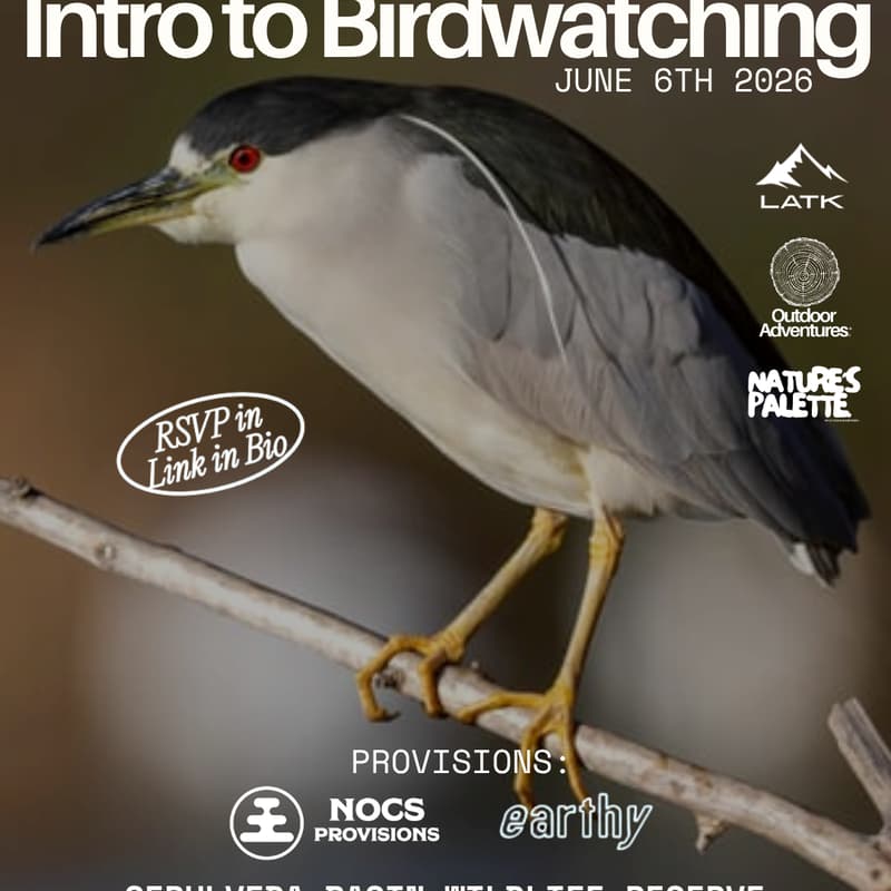 Cover Image for Intro to Birdwatching