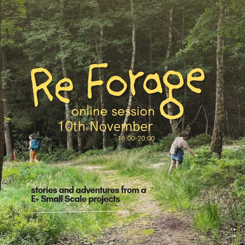 Cover Image for Re-Forage: stories and adventures from a E+ Small Scale projects