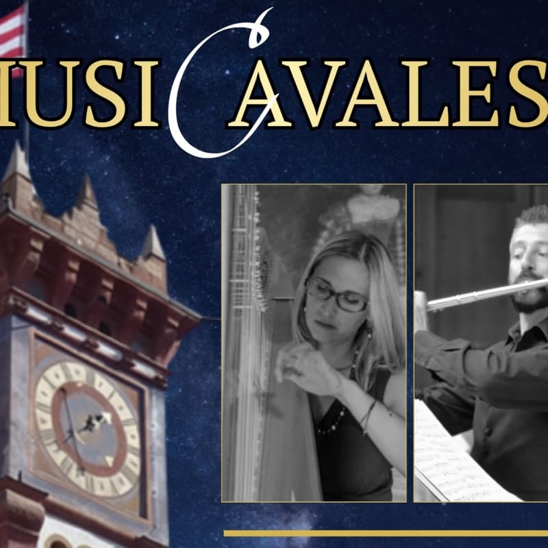 Cover Image for Matinée. Concerto flauto ed arpa