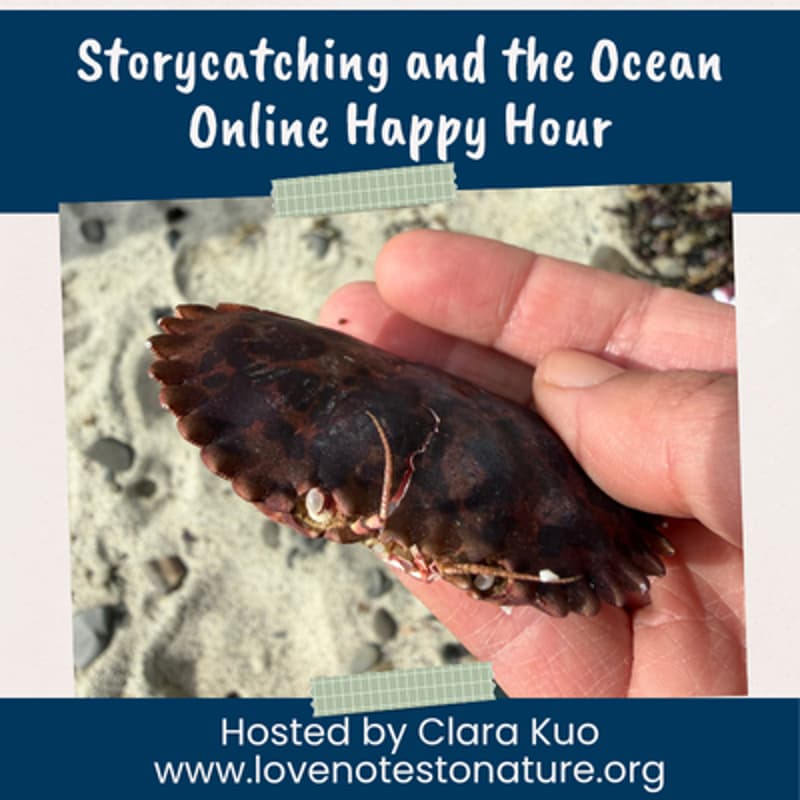 Cover Image for Lean Coffee: Storycatching with the Ocean