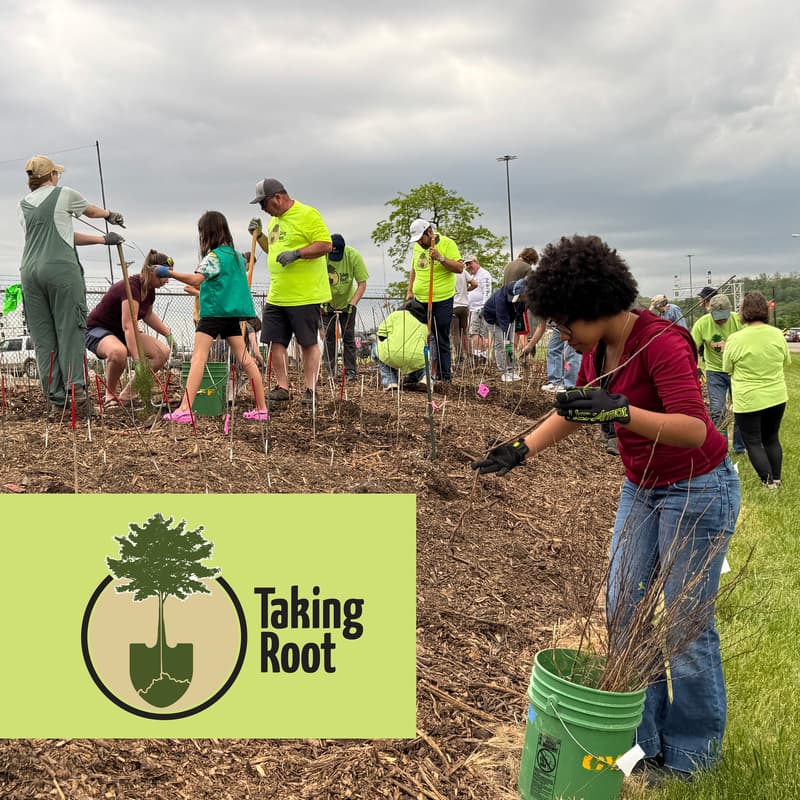 Cover Image for Taking Root's Miyawaki Mini-Forest Initiative: Camp Washington