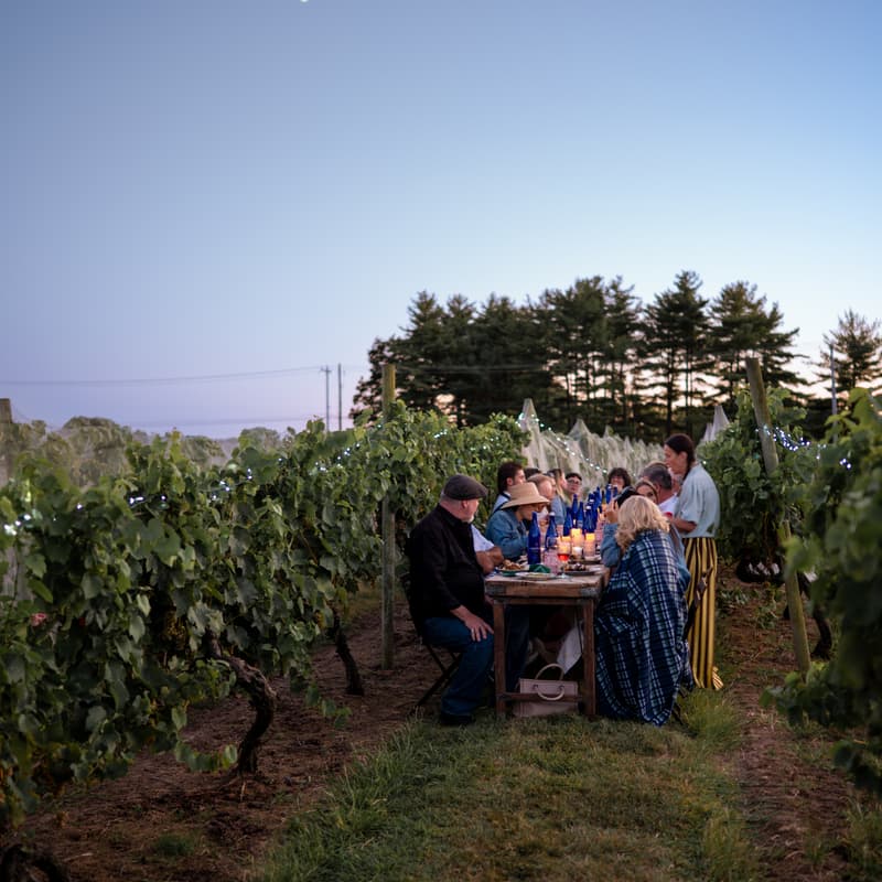 Cover Image for Estate Supper Al Tramonto
