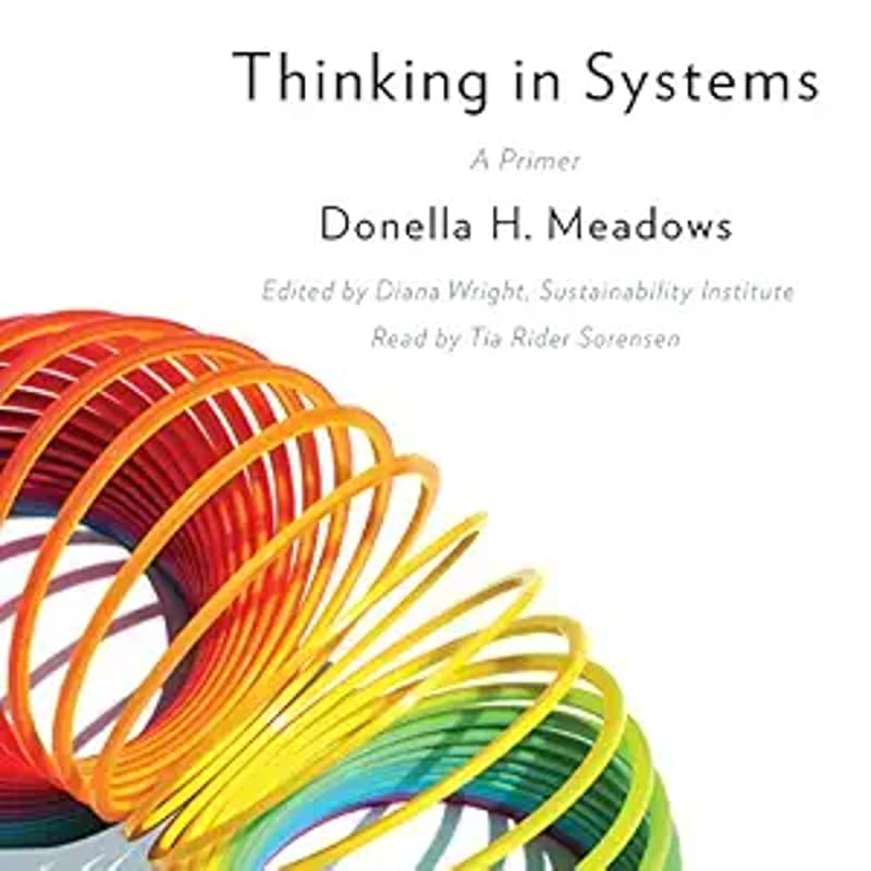 Cover Image for Service Design Book Club: Thinking In Systems (Chapter 5 - End)
