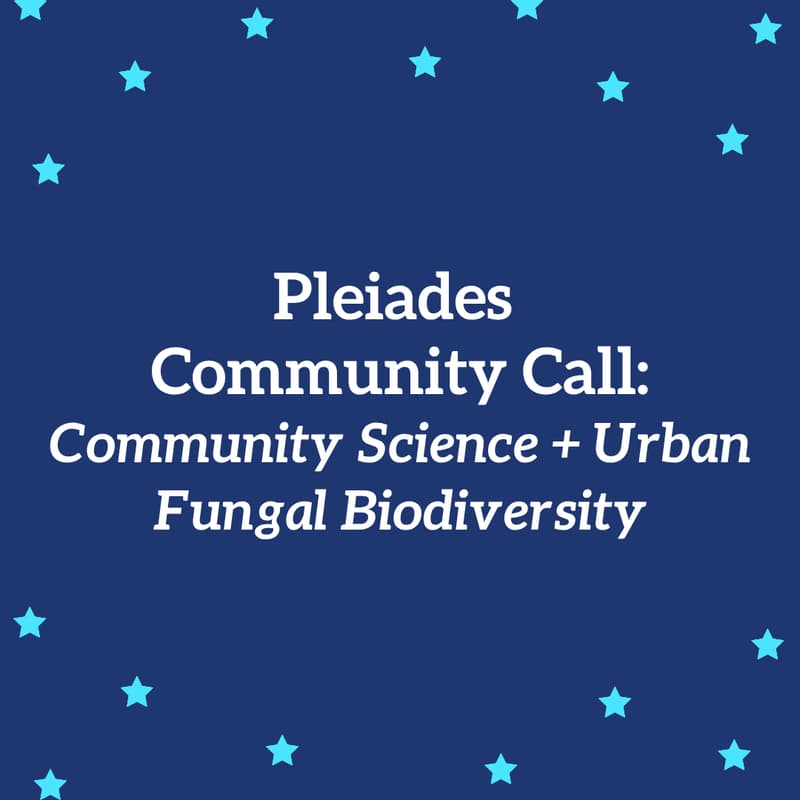 Cover Image for ✨Pleiades Community Call | Community Science + Urban Fungal Biodiversity