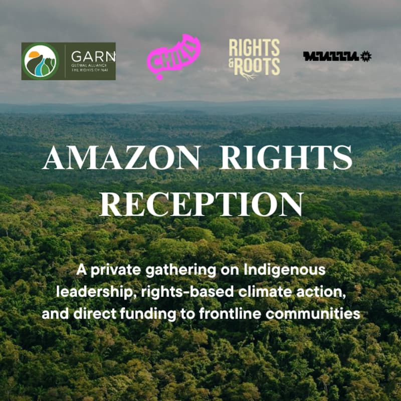 Cover Image for AMAZON RIGHTS RECEPTION