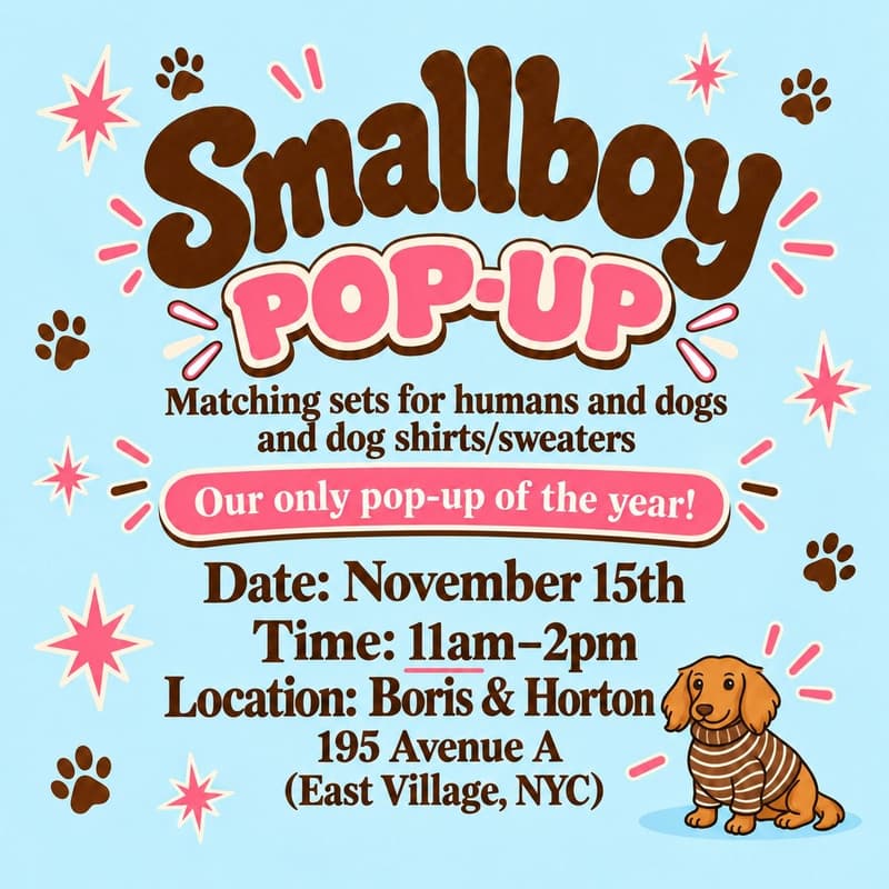 Cover Image for Smallboy Pop Up
