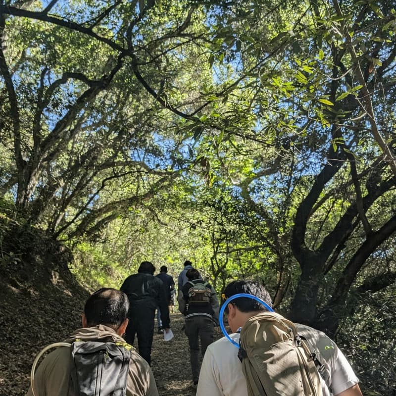 Cover Image for Leadership Hike - Elevate Community Solutions