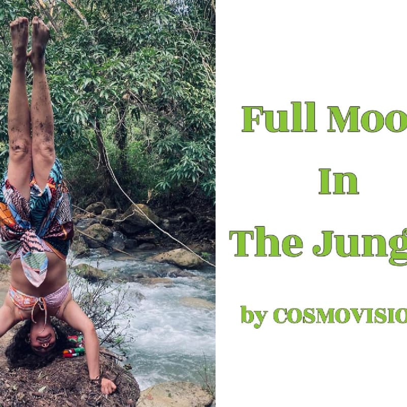 Cover Image for Full Moon Cacao Ceremony | A Self-Care Day in the Jungle | Lunch and Transportation Included