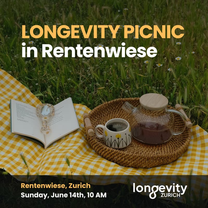 Cover Image for LONGEVITY PICNIC in Rentenwiese