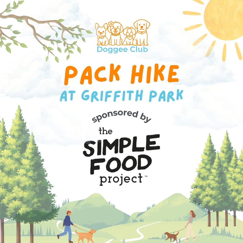 Cover Image for October Pack Hike