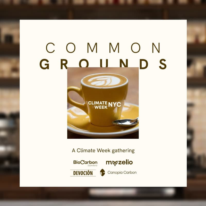 Cover Image for Common Grounds