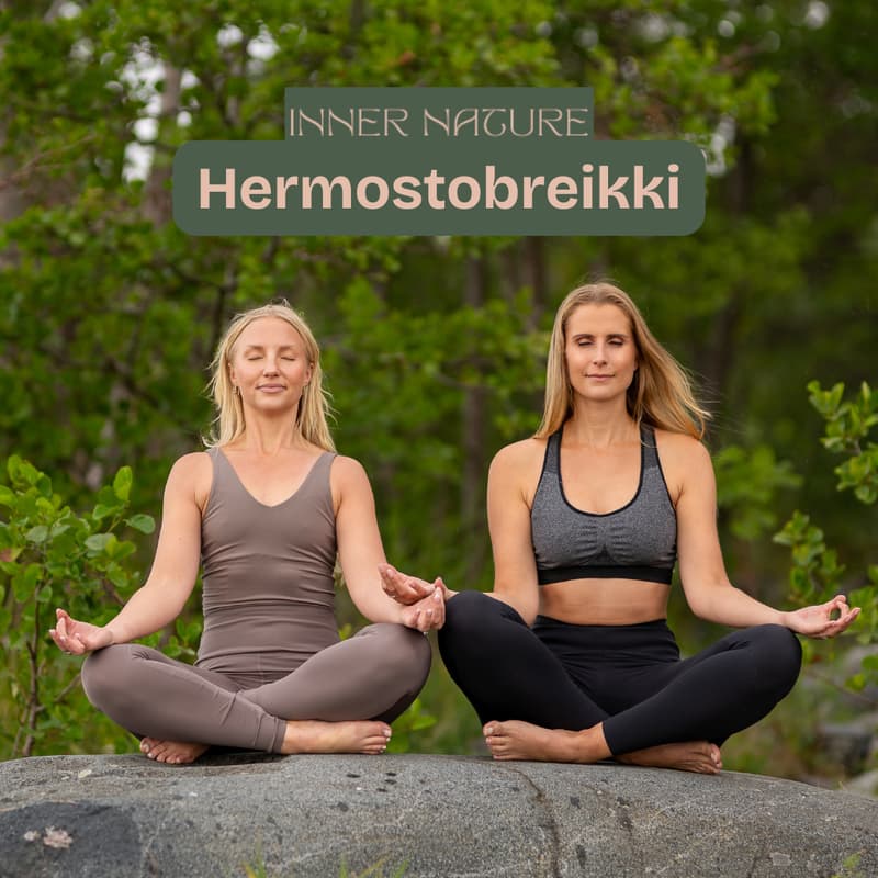 Cover Image for Työpäivän Hermostobreikki