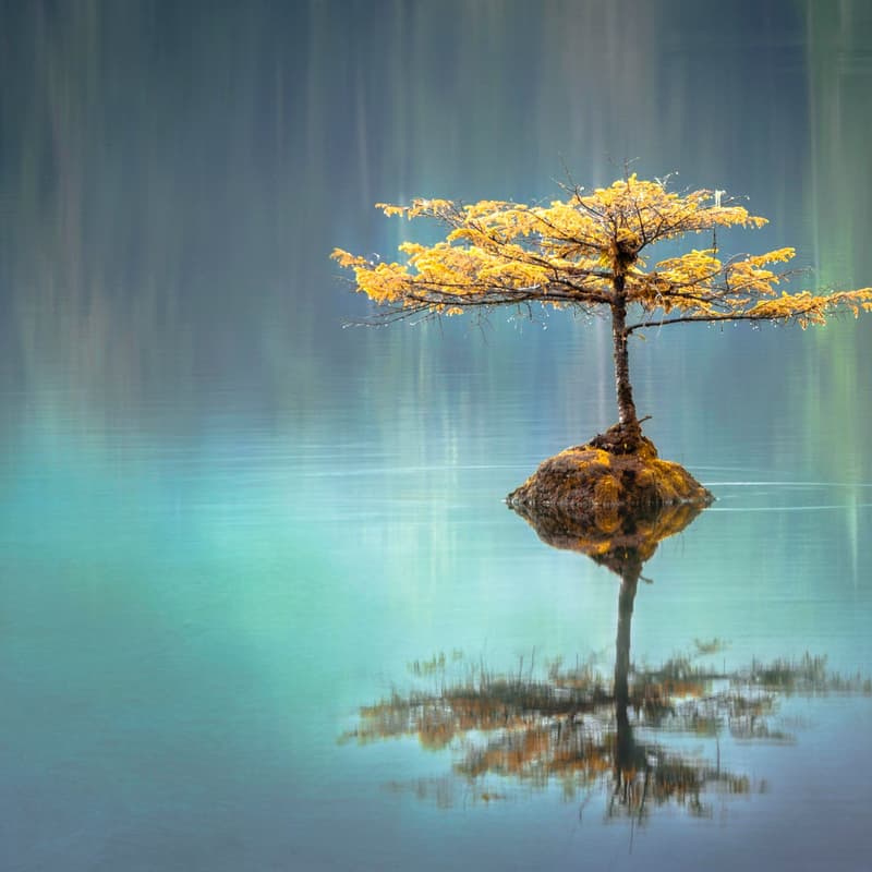 Cover Image for Spiritual Inquiry: A Live Taste