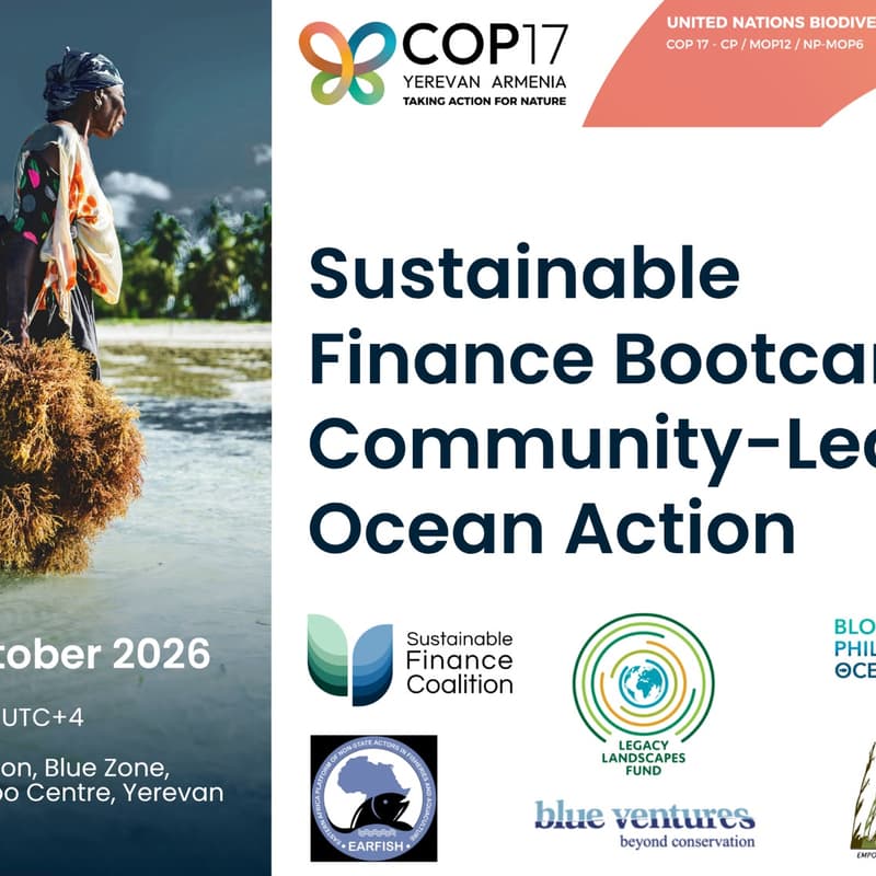 Cover Image for Sustainable Finance Bootcamp: Community-Led Ocean Action