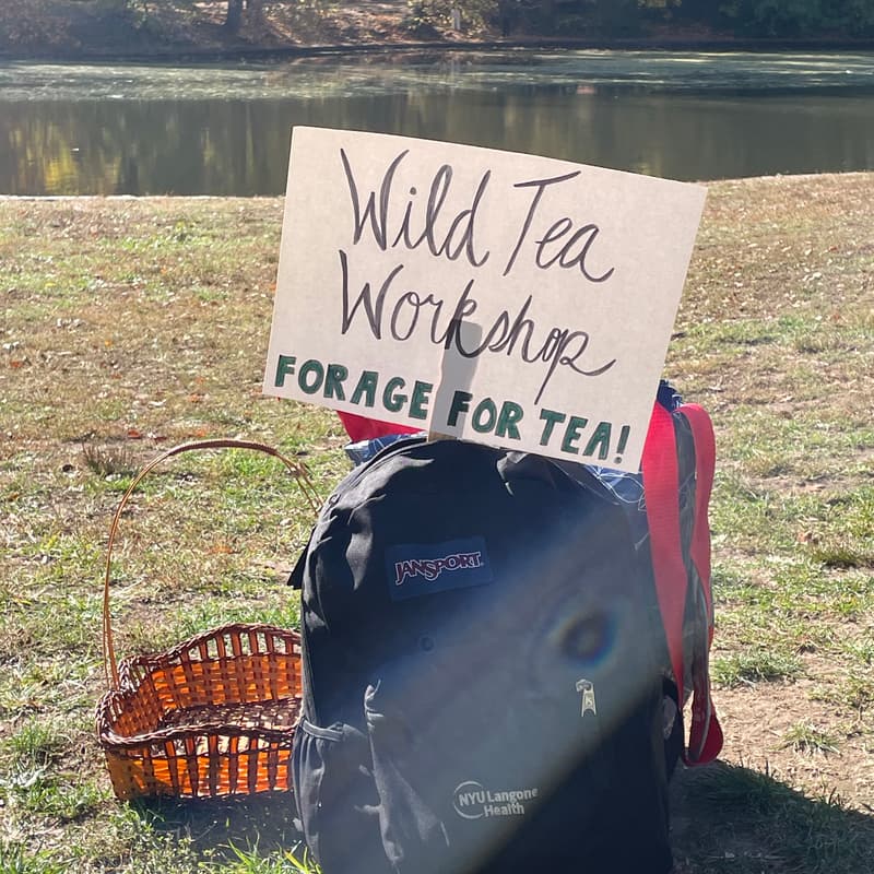 Cover Image for 🌿 Wild Tea Workshop: Highland Park