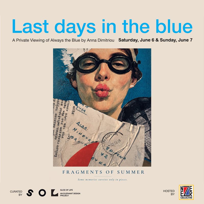 Cover Image for “Last days in the blue”
