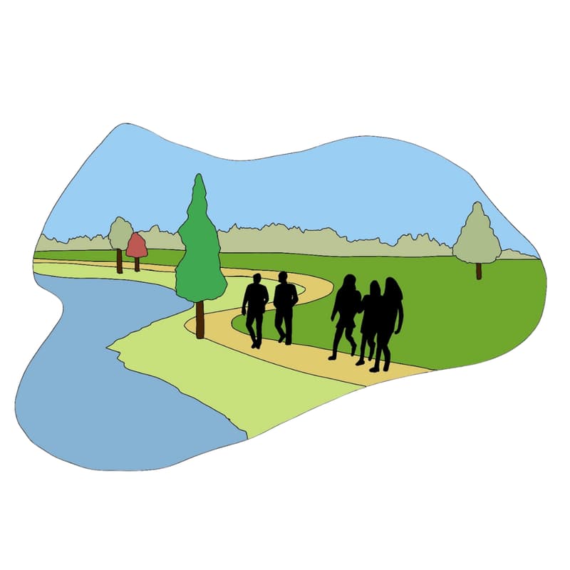 Cover Image for Walks and Networking on the Lake