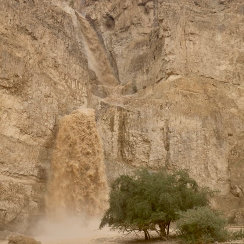 Cover Image for כנס שיטפונות במדבר
