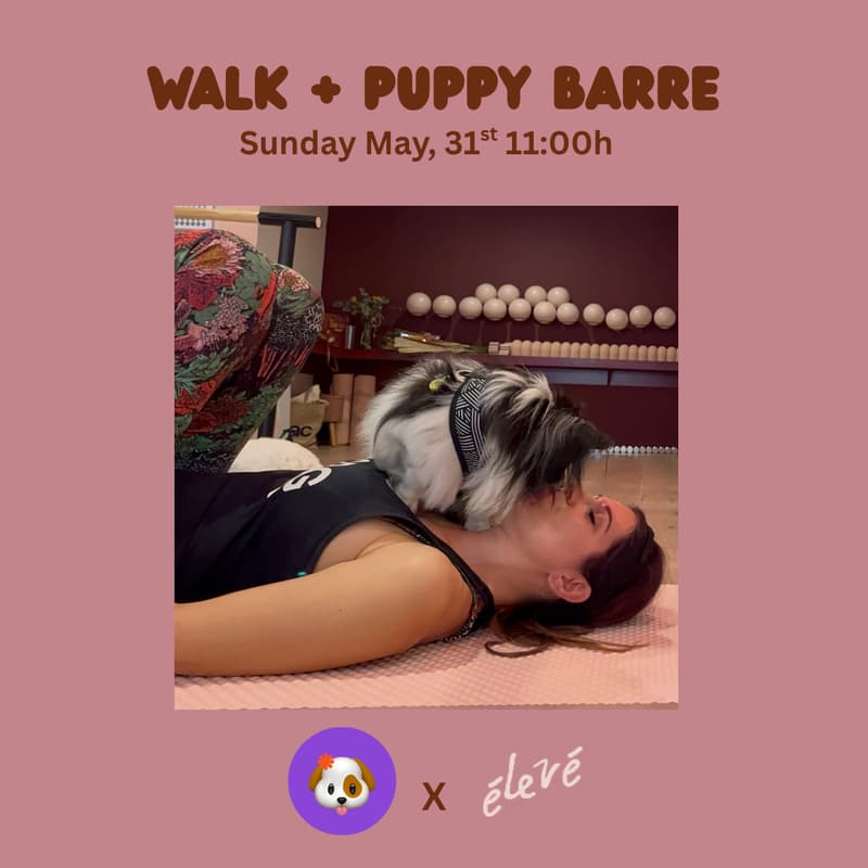 Cover Image for Walk + Puppy Barre: CD x Eleve