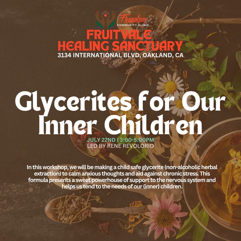 Cover Image for Glycerites for Our Inner Children