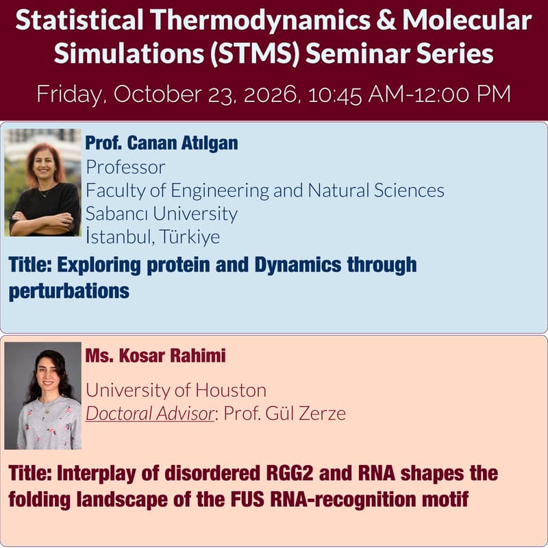 Cover Image for Statistical Thermodynamics & Molecular Simulations (STMS) Seminar Series: Prof. Canan Atılgan (Sabancı), Ms. Kosar Rahimi (Houston)