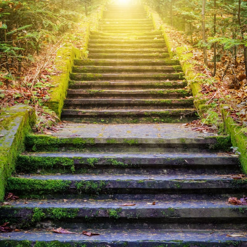 Cover Image for Sanctuary Meditation: Meet Your Higher Self