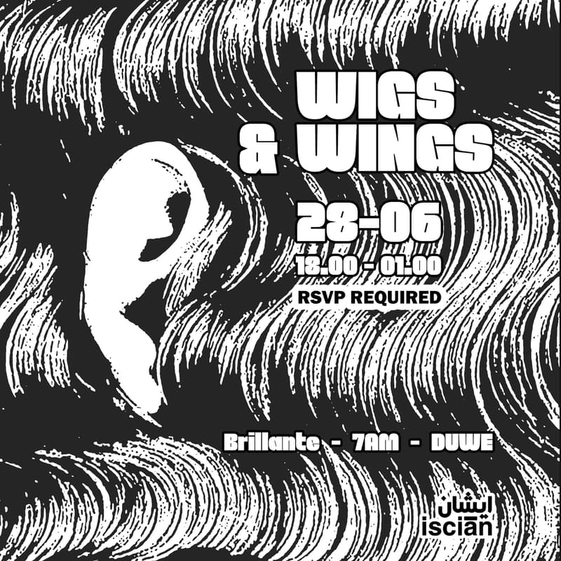 Cover Image for WIGS & WINGS