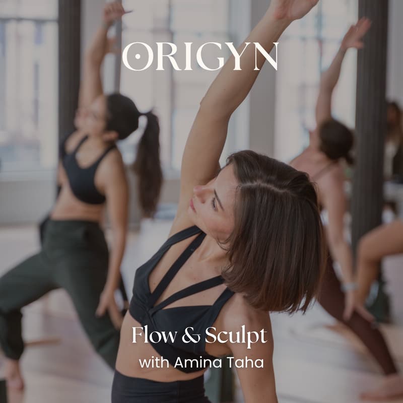 Cover Image for Flow & Sculpt