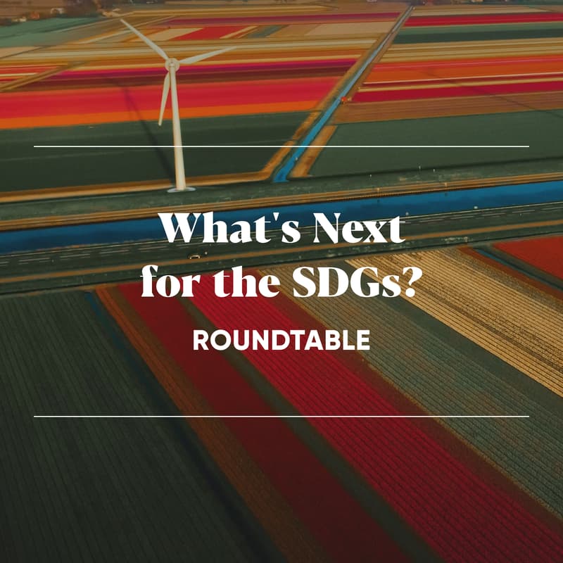 Cover Image for UN PRI: What’s next for the SDGs?