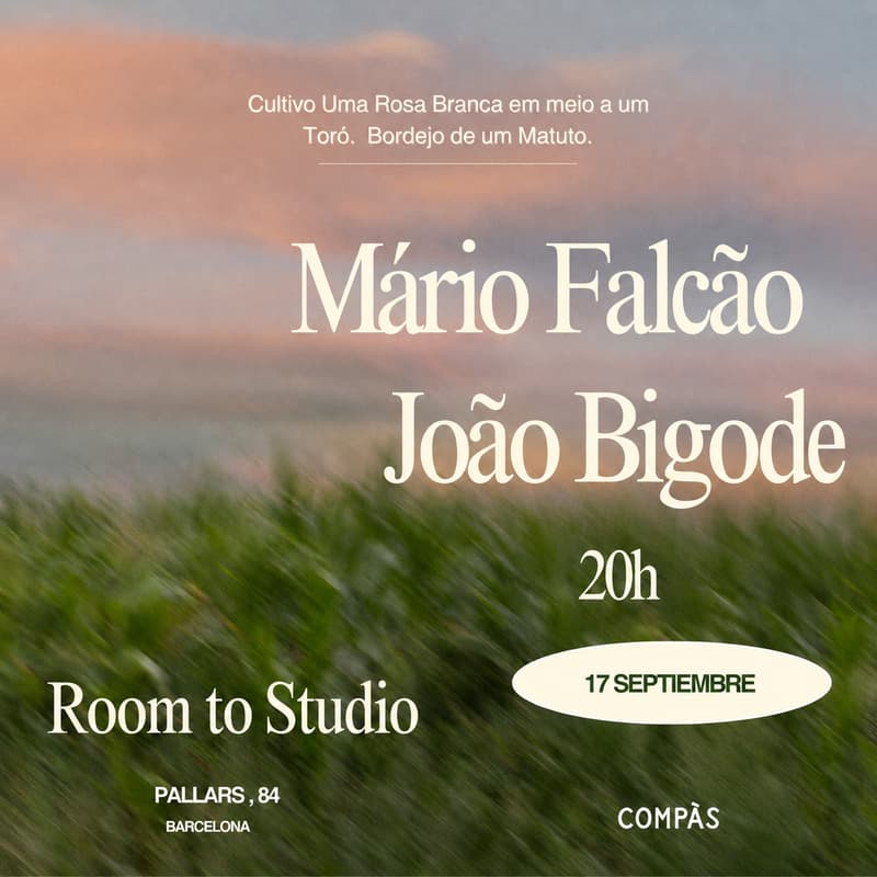 Cover Image for Concierto: Mário Falcão + João Bigode