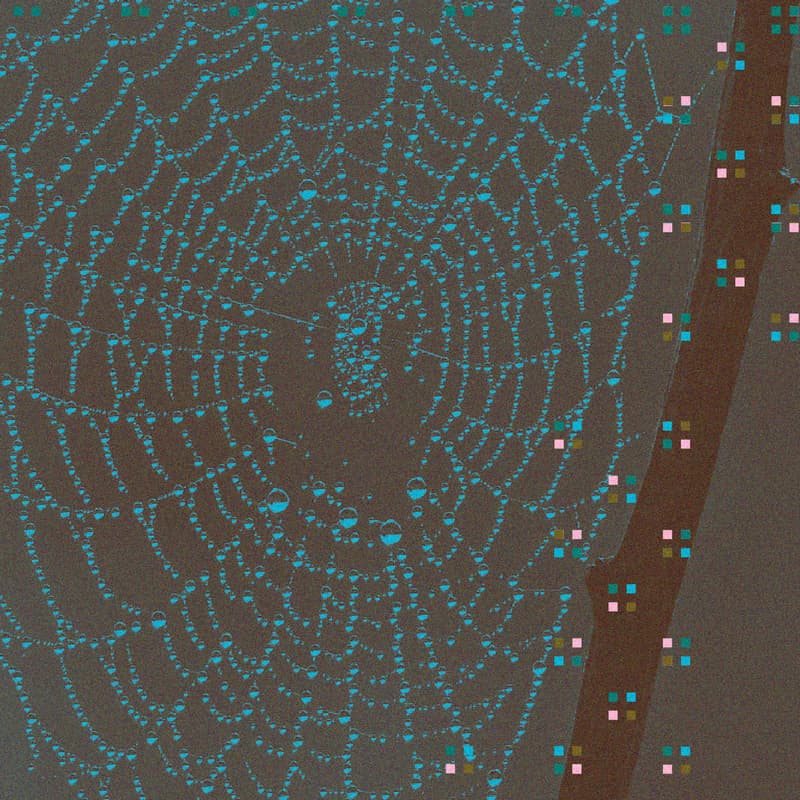 Cover Image for Nodal Thinking in Curatorial Practice