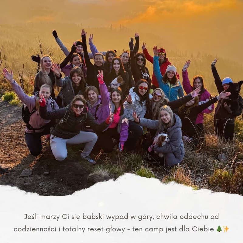 Cover Image for Sikorkowy Camp w Tatrach