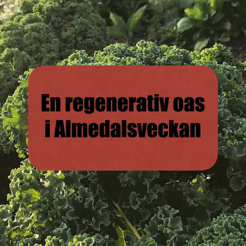 Cover Image for Regenerativ Oas