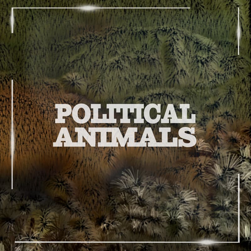 Cover Image for Political Animals
