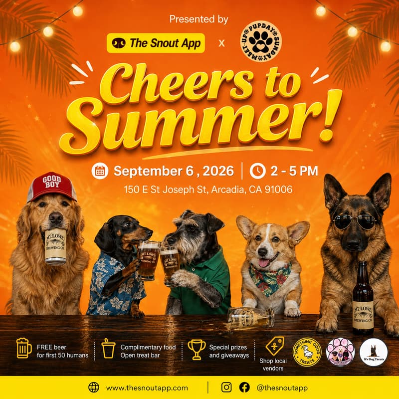 Cover Image for Cheers to Summer!