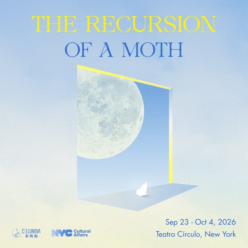 Cover Image for The Recursion of a Moth