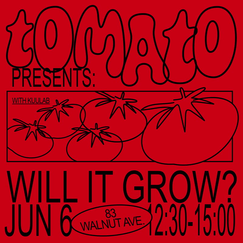 Cover Image for Tomato Presents: Will It Grow? - A Tomato Planting Experience