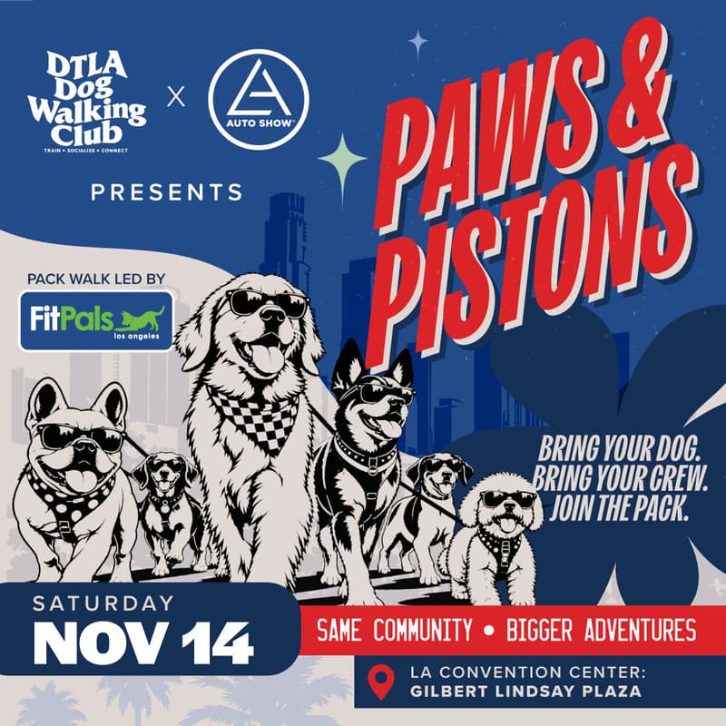 Cover Image for Paws and Pistons by Dtla Dog Walking Club x LA Auto Show