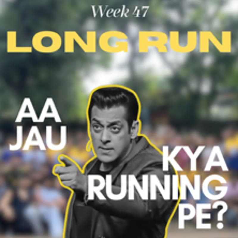 Cover Image for WEEK 47