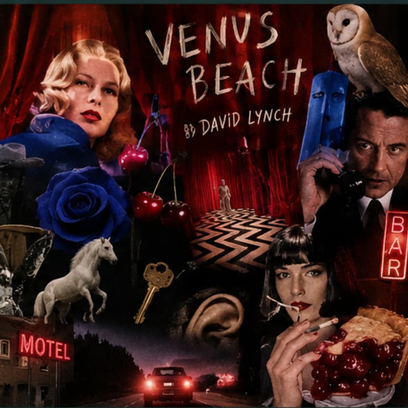 Cover Image for Venus Beach by David Lynch