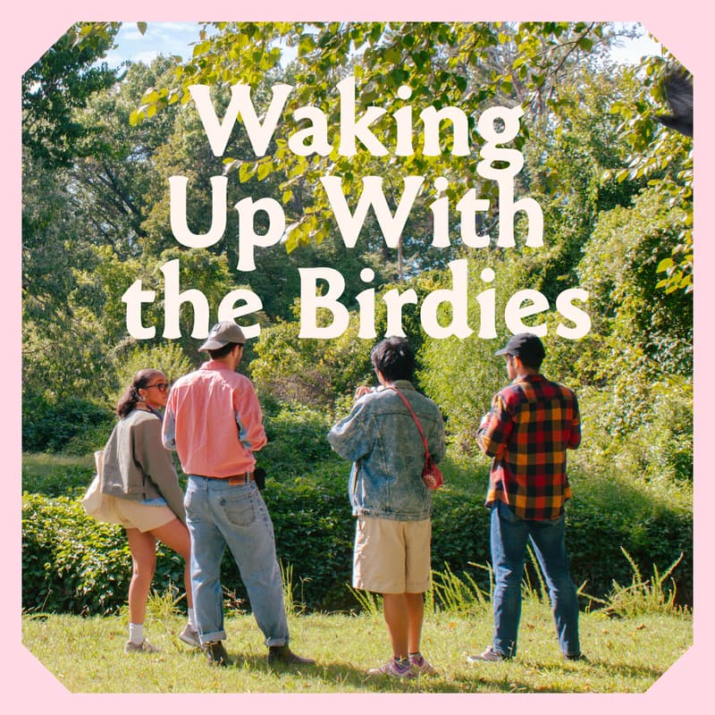 Cover Image for Waking up with the Birdies