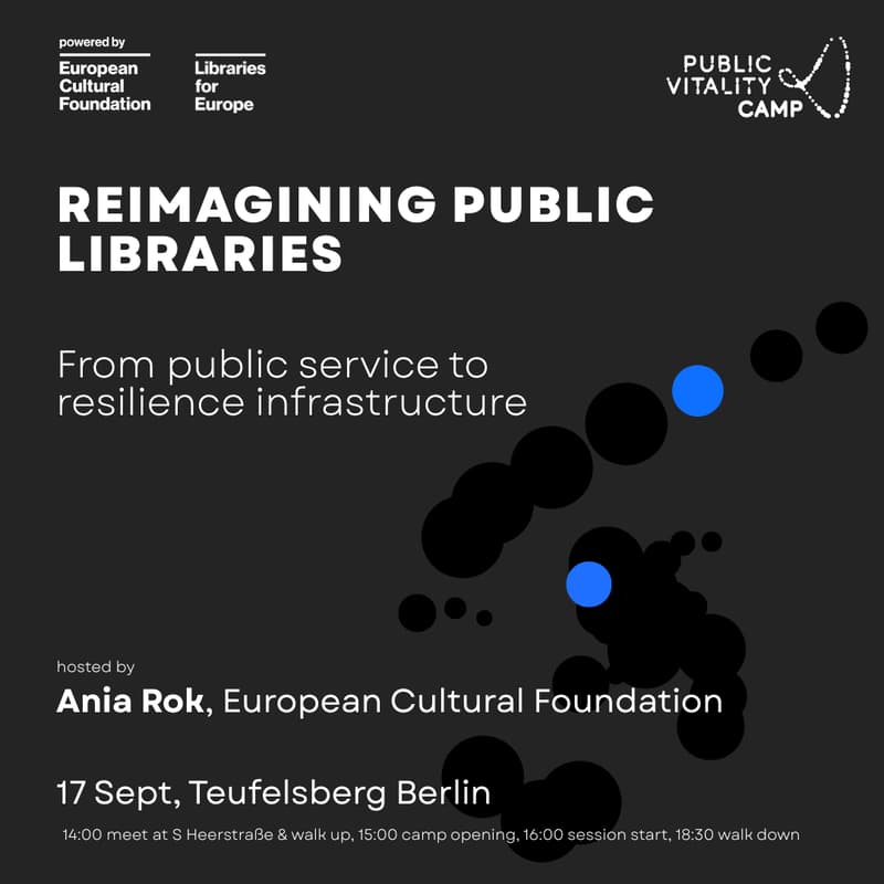 Cover Image for Reimagining Public Libraries