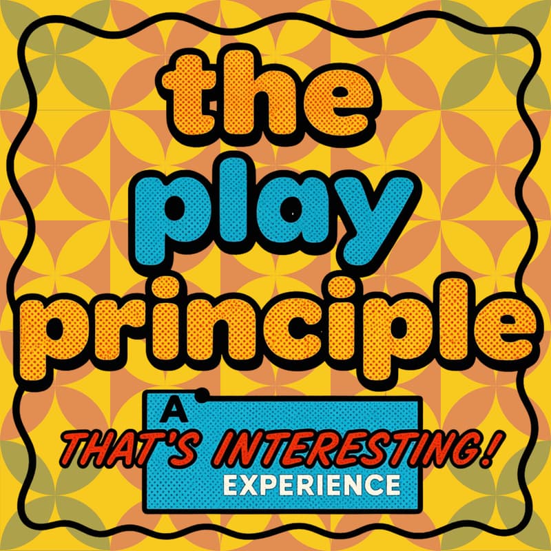 Cover Image for The Play Principle
