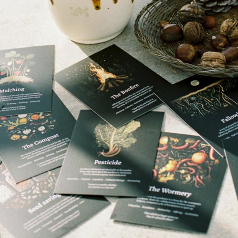 Cover Image for Creating Seed Artefacts