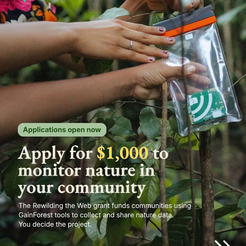 Cover Image for Rewilding the Web Grant: Orientation Call (Latin America & Africa-friendly time)