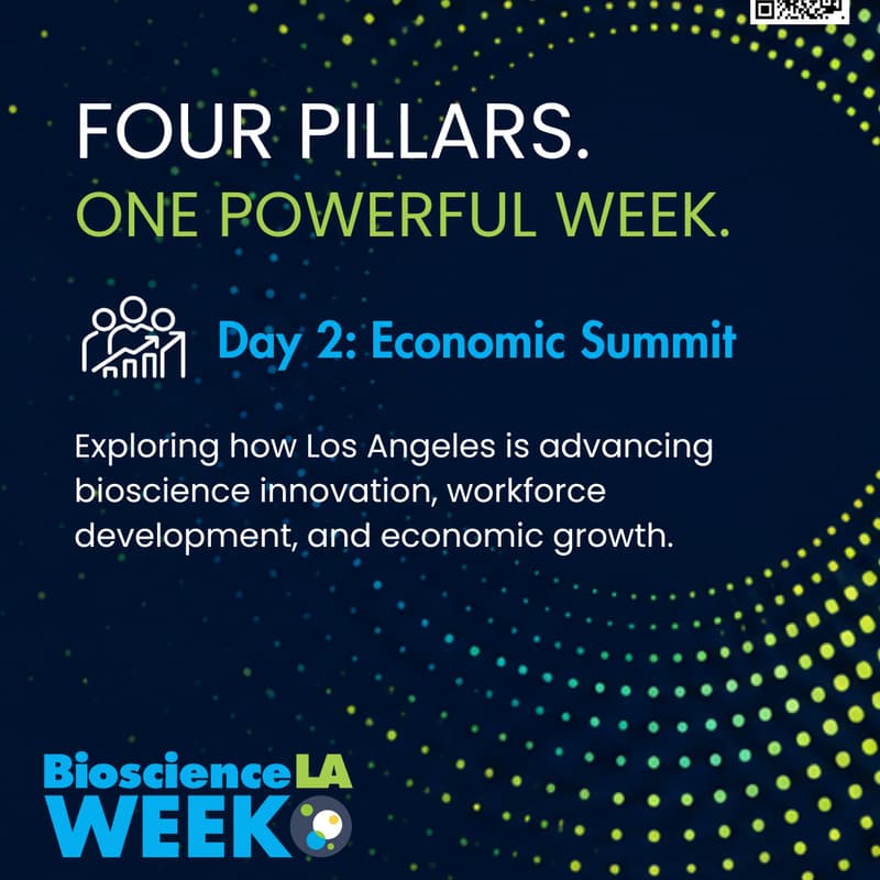 Cover Image for Economic Summit