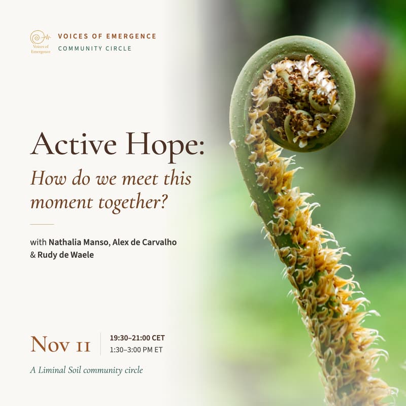 Cover Image for Active Hope: How Do We Meet This Moment Together?
