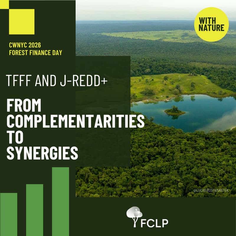 Cover Image for TFFF and J-REDD+ From Complementarities to Synergies