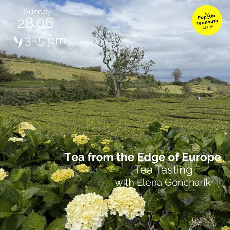 Cover Image for T*SCHOOL: Tasting Teas from the Edge of Europe by Sip_Pages