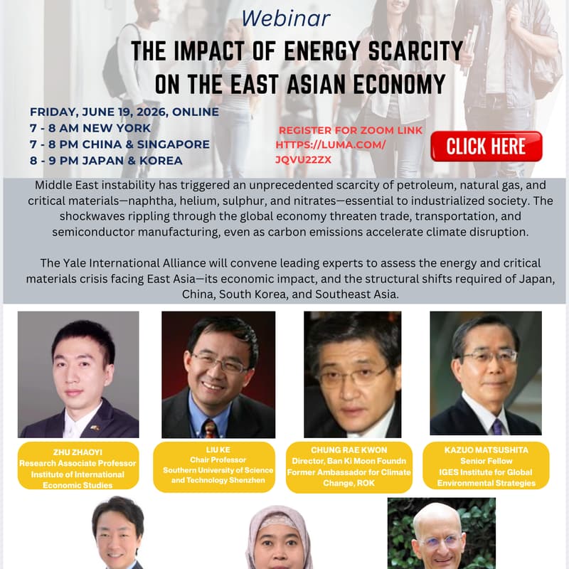 Cover Image for The Impact of Energy Scarcity on the East Asian Economy